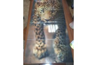 Leopard AltaCera