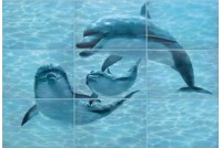 Лазурь панно аква (дельфины)