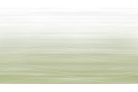 Colibri бело-зеленая 1045-0120