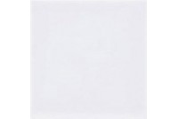 Мелкоформатная Однотонная глянц. белый (12-01-4-01-00-00-001)