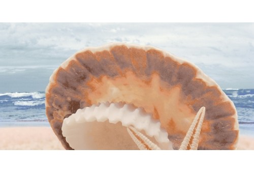 Аликанте декоративный массив Жемчужина на море верх