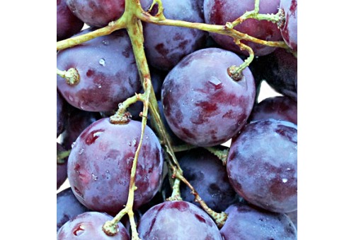 Толедо декор фиолетовый Виноград 14-00-55-140-5