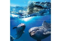 Dolphins панно (стекло)
