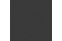Керамический гранит светло-черный 10GCR 0023 ректификат