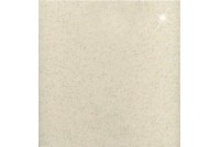 Керамический гранит светло-серый 10GCRР0105 ректификат