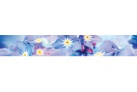 Forget-me-not Бордюр B300D248