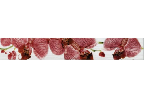 Fiori Бордюр орхидея 267081