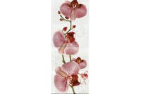 Fiori Панно орхидея 377037