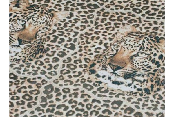 Leopard Oset