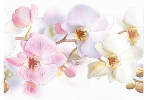 Tropicana Orchids (TC2M051DT) Декор