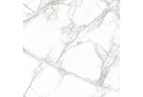 Arena White  Marble Polished 60x60